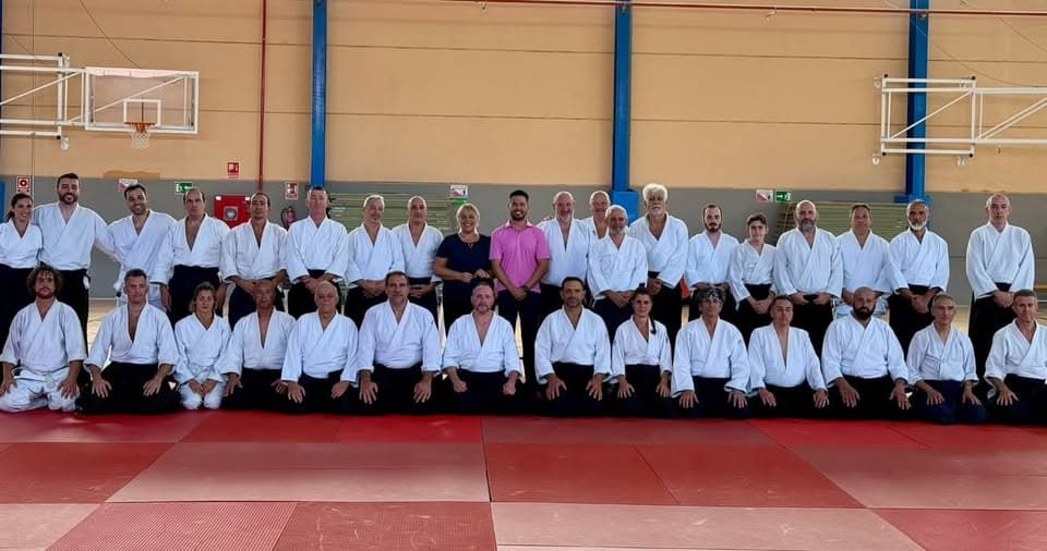 Dojo Central Aikido Ikigai Alcobendas